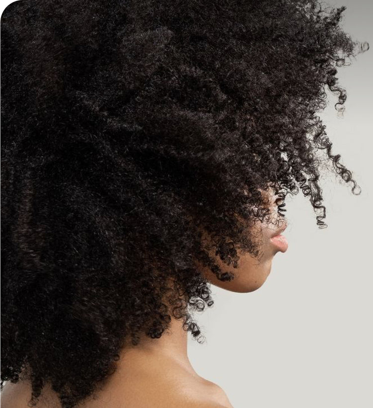 Daily Haircare